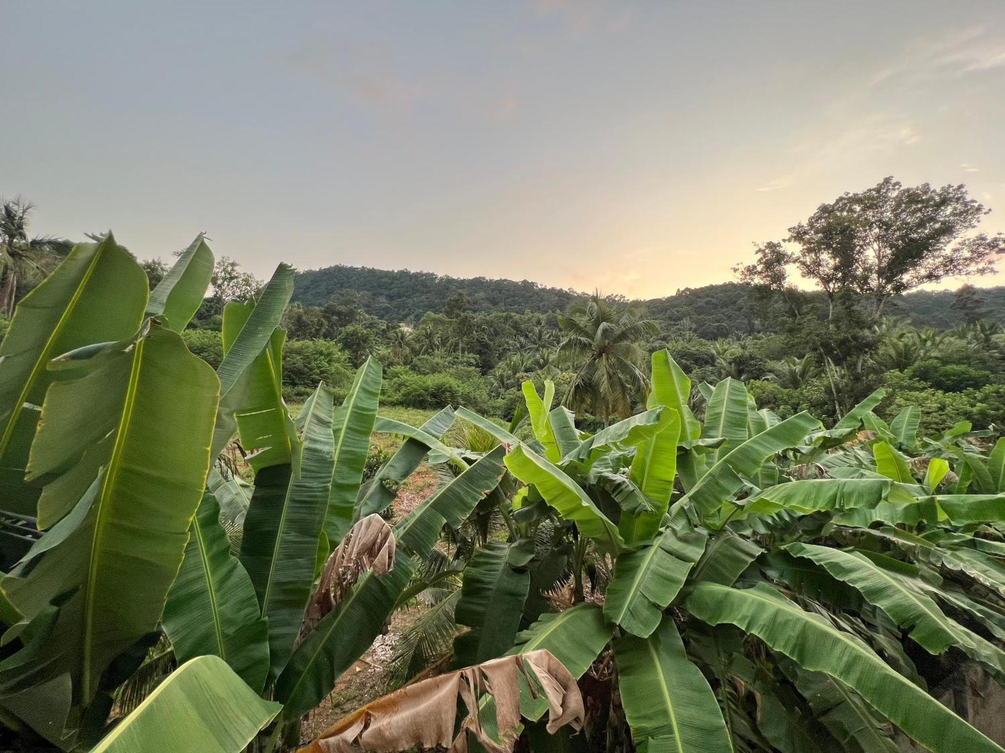 Bungalow Sang Tuoi Mountains Phu Quoc Luaran gambar
